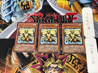 Simorgh, Bird of Ancestry 3 rare, set of 3 terra