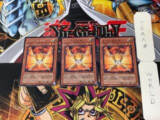 Herald of Orange Light 3 rare, set of 3 Tera.