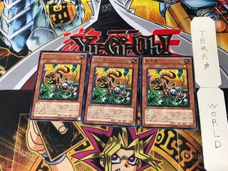 Snyffus 3 rare, set of 3 Tera.