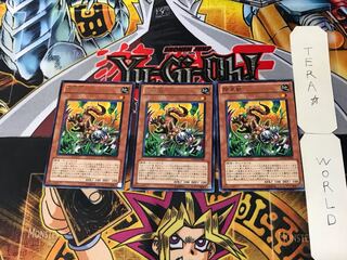 Snyffus 4 Rare, set of 3 Tera.