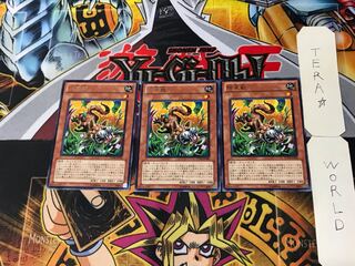 Snyffus 5 Rare Set of 3 Tera.