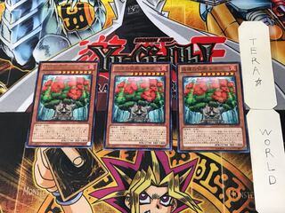 森羅の仙樹 レギア 1 レア 3枚セット てら