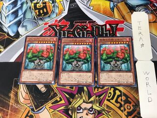 森羅の仙樹 レギア 2 レア 3枚セット てら