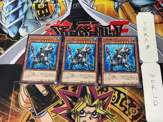 Water Seirin Scale - Dinik Abyss 5 rare, set of 3 Tera.