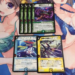 サバイバー  6枚 6枚