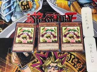 Prediction Princess Coinorma 2 rare, set of 3 Tera