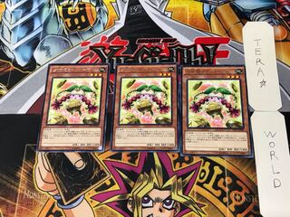 Prediction Princess Coinorma 4 rare, set of 3 Tera.