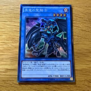 Paladin of Dark Dragon Collector's Rare JP018