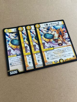 Bipolar Shiveenu 18/19