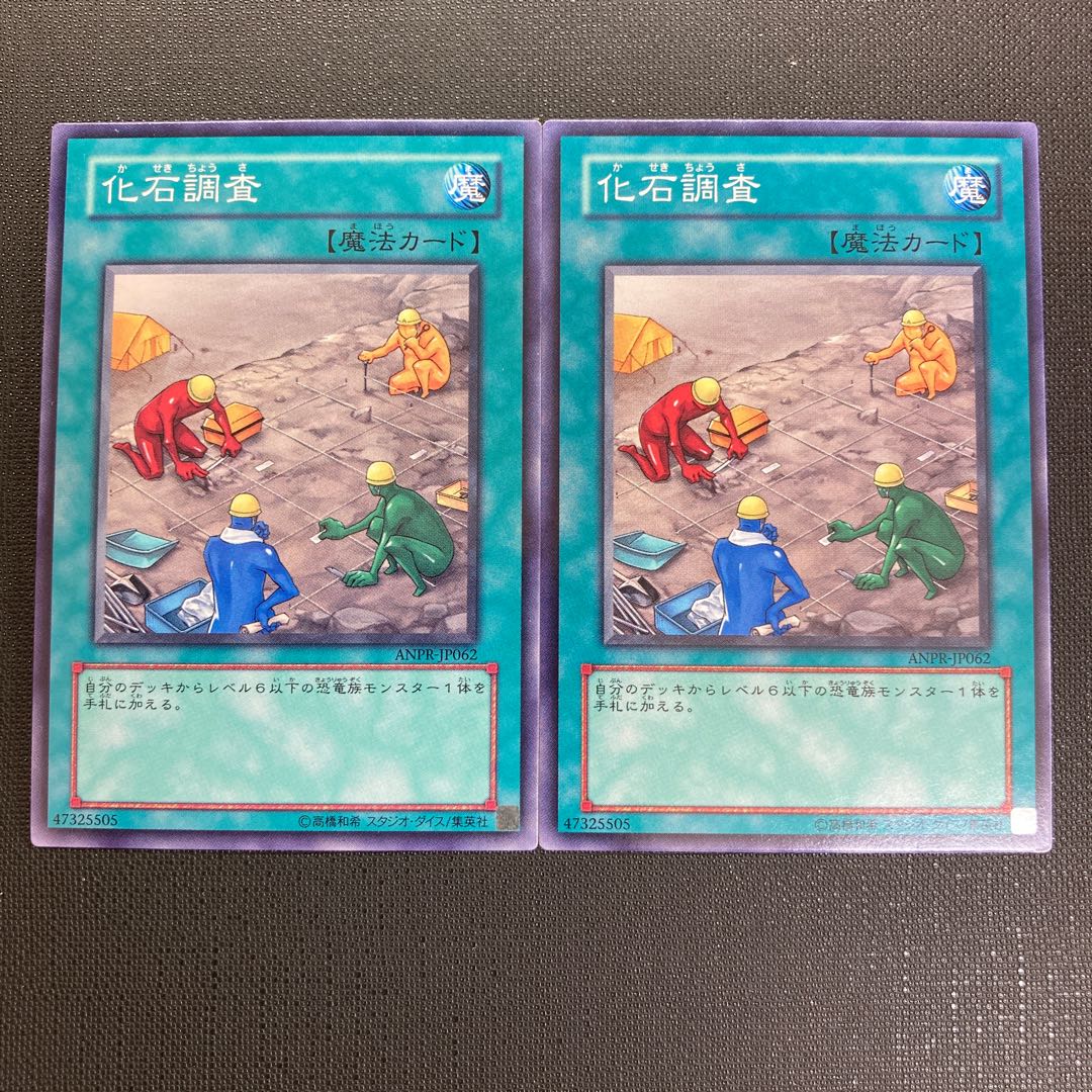 Fossil Dig Normal JP062