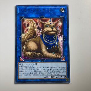 8228 Missus Radiant $2629