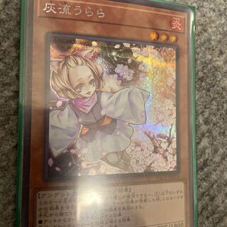 50th anniversary of the rating: Ash Blossom & Joyous Spring