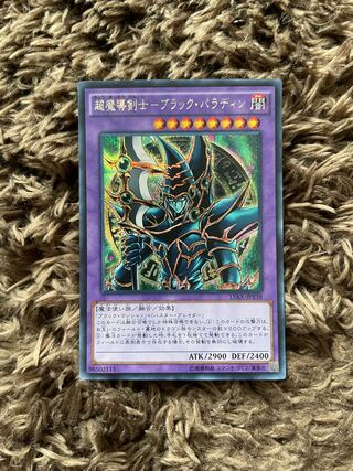 Psychic Mage Swordsman - Black Paladin Secret Rare JPY38