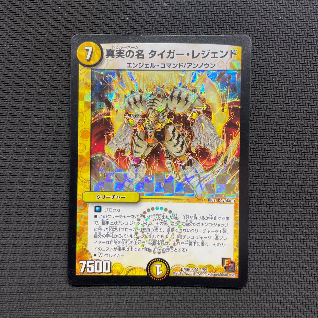 The True Name Tiger Legend VR 2/55