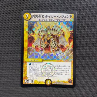 The True Name Tiger Legend VR 2/55