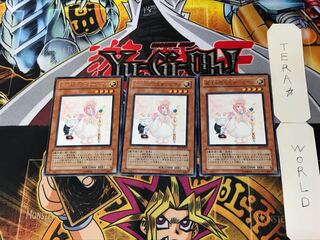 Princess of Magic Land - Pikel 2 Rare Set of 3 Tera