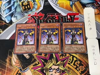 Queen of Enchantment LV5 2 Rare Set of 3 Terra