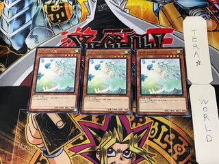 Spirit of the Fall Wind 2 rare, set of 3 Tera.