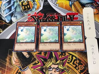 Spirit of the Fall Wind 3 rare, set of 3 Tera.