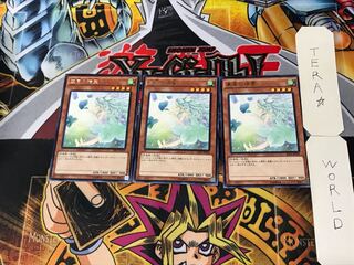 Spirit of the Fall Wind 4 rare, set of 3 Tera.