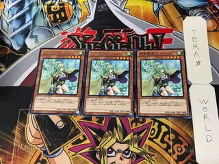 Spiritual Beast Tamer Winda 5 rare, set of 3 Tera