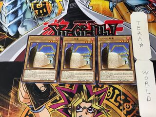 Gunkan Suship Shari 4 rare, set of 3 Tera.