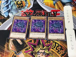 Mystery Shell Dragon 1 rare, set of 3, Tera.