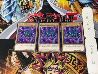 Mystery Shell Dragon 2 rare, set of 3, Tera