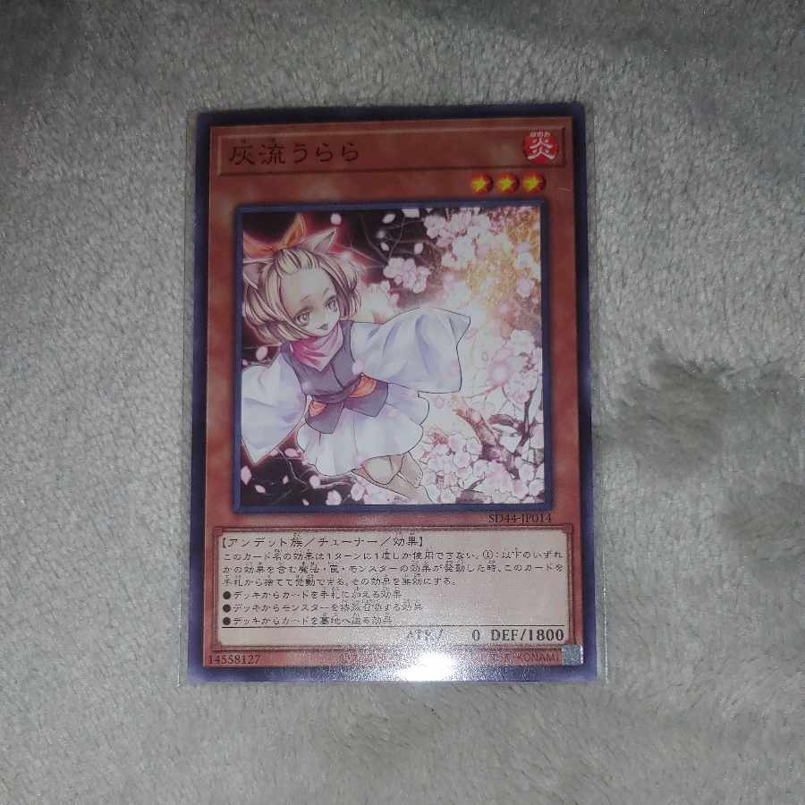 Ash Blossom & Joyous Spring Normal JP014