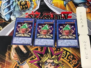 Demon Goddess-ka Squirrel Lime 5 rare, set of 3 Tera.