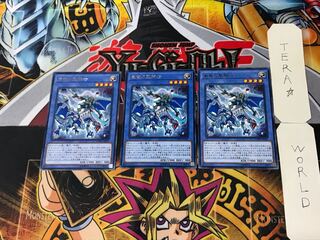 Paladin of Storm Dragon 3 rare, set of 3 Tera.