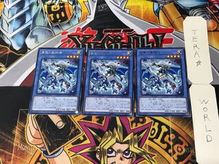 Paladin of Storm Dragon 5 rare, set of 3 Tera.