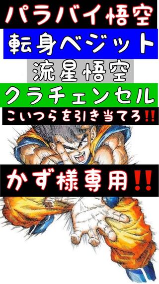No.3!かず様専用!6口!超豪華保証&ビンゴゲーム付き!