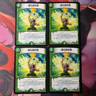 Evolutionary blueprint R 25/71