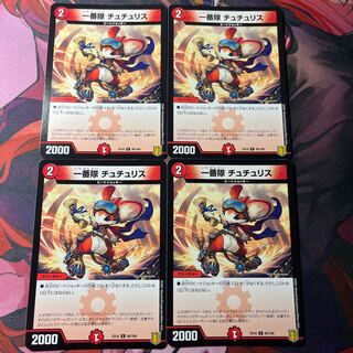 First team Tutu Squirrel C 95/100 1枚