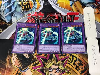 月光舞猫姫 2 レア 3枚セット てら