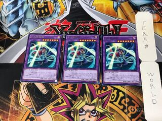 月光舞猫姫 3 レア 3枚セット てら