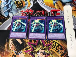 月光舞猫姫 4 レア 3枚セット てら