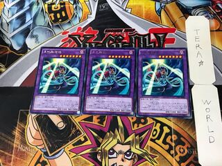 月光舞猫姫 5 レア 3枚セット てら