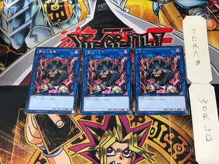 Berserker of the Tenyi 3 rare, set of 3 Tera.