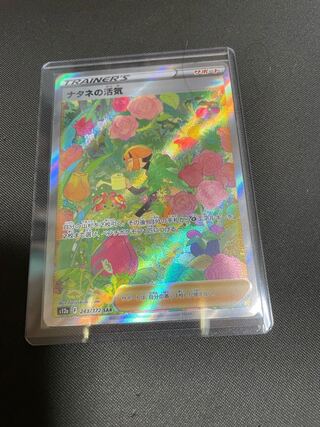 ナタネの活気 SAR 243/172 リザードンV