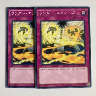 ワンダー・エクシーズ $2643