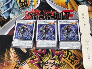 闇次元の戦士 1 レア 3枚セット てら