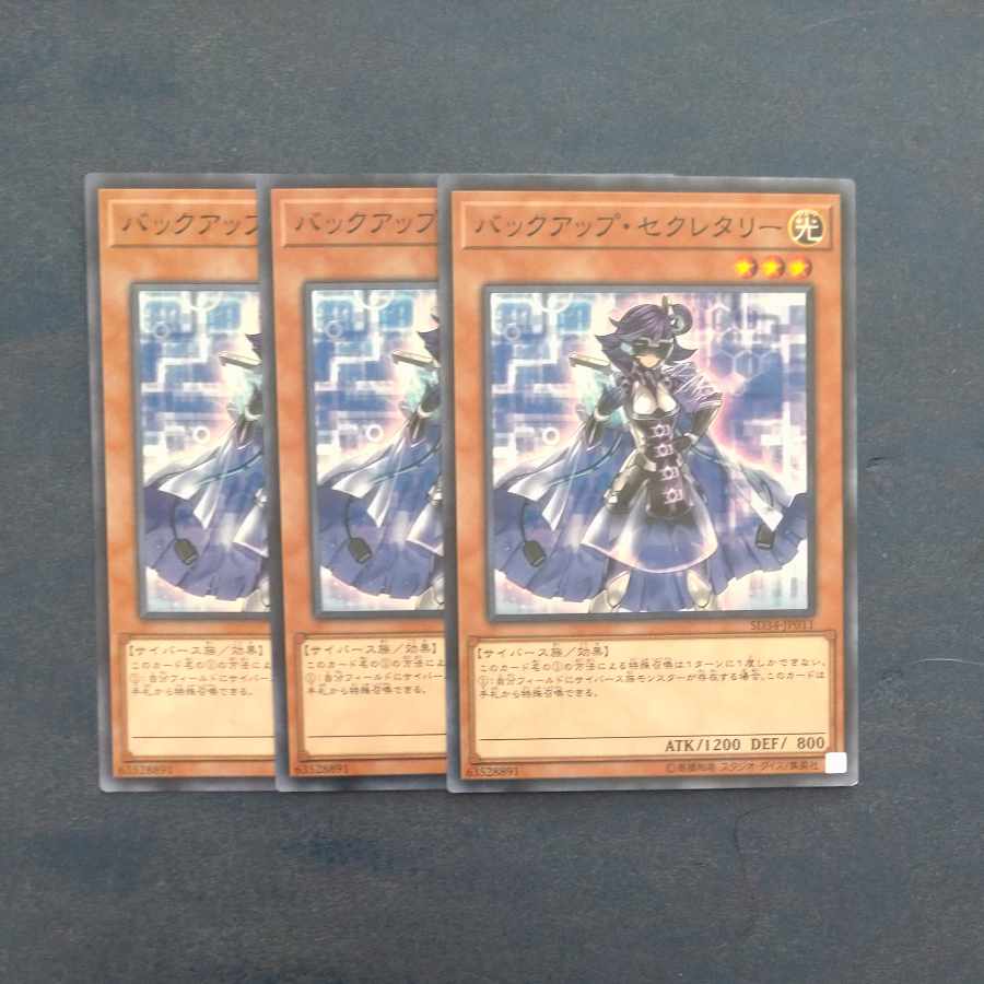 Backup Secretary Normal JP011✕3