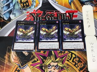 Number 66: Master Key Beetle 2 rare, set of 3, Tera