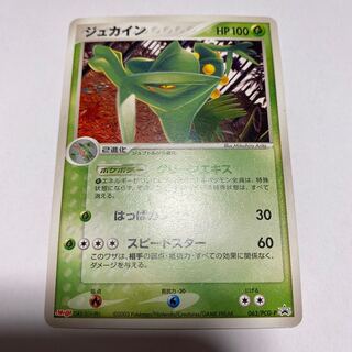 Sceptile Promo