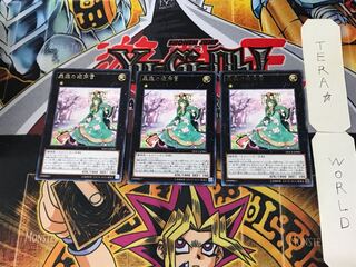 Sylvan Princessprite 5 Rare Set of 3 Tera.
