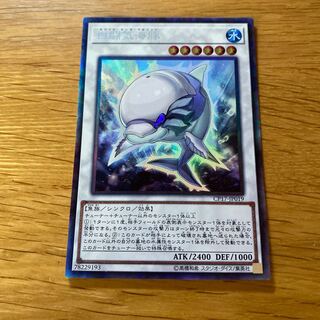 White Aura Dolphin Collector's Rare JP019