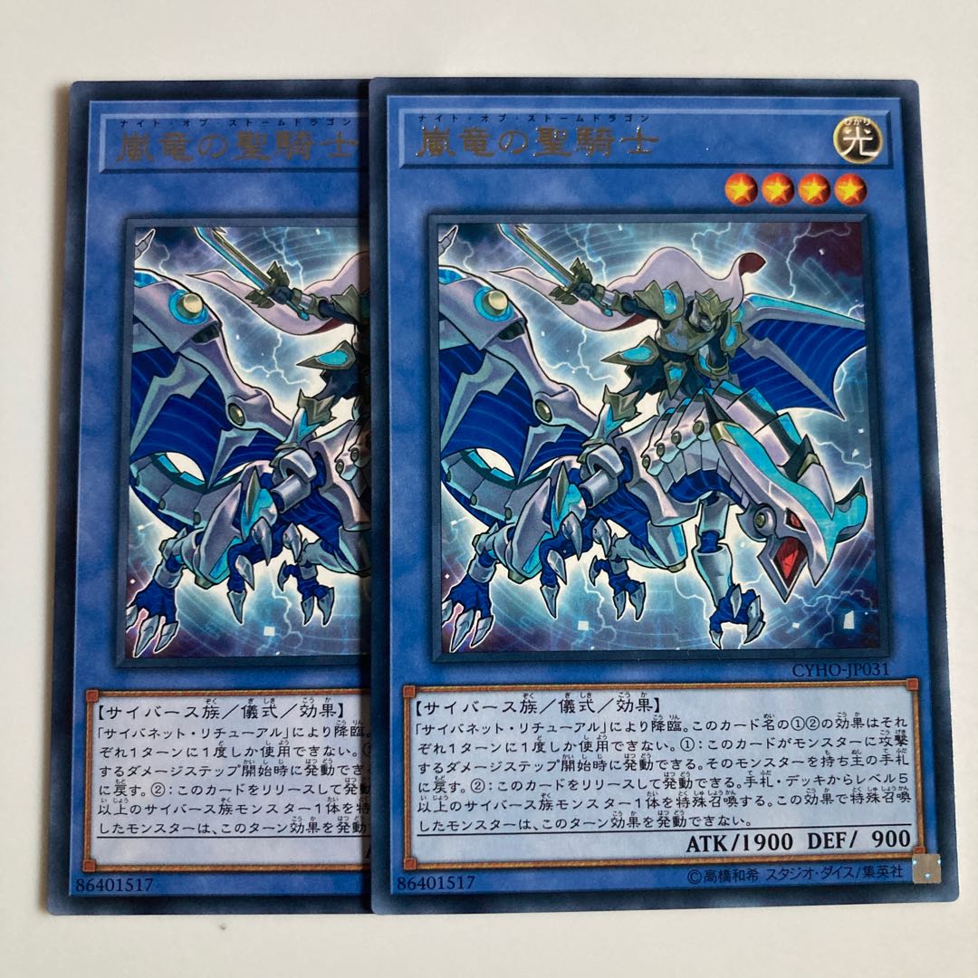 8257 Paladin of Storm Dragon $2717