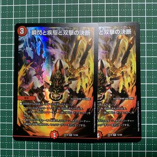 Exclusive for Mr. Nenshin Nene, Shunshin, Shunshin, Shunshin and Twinstrike's Decision, VR 7/102, 2 copies, 4 copies of Evolpia.